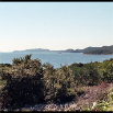 Kroatien_33.jpg